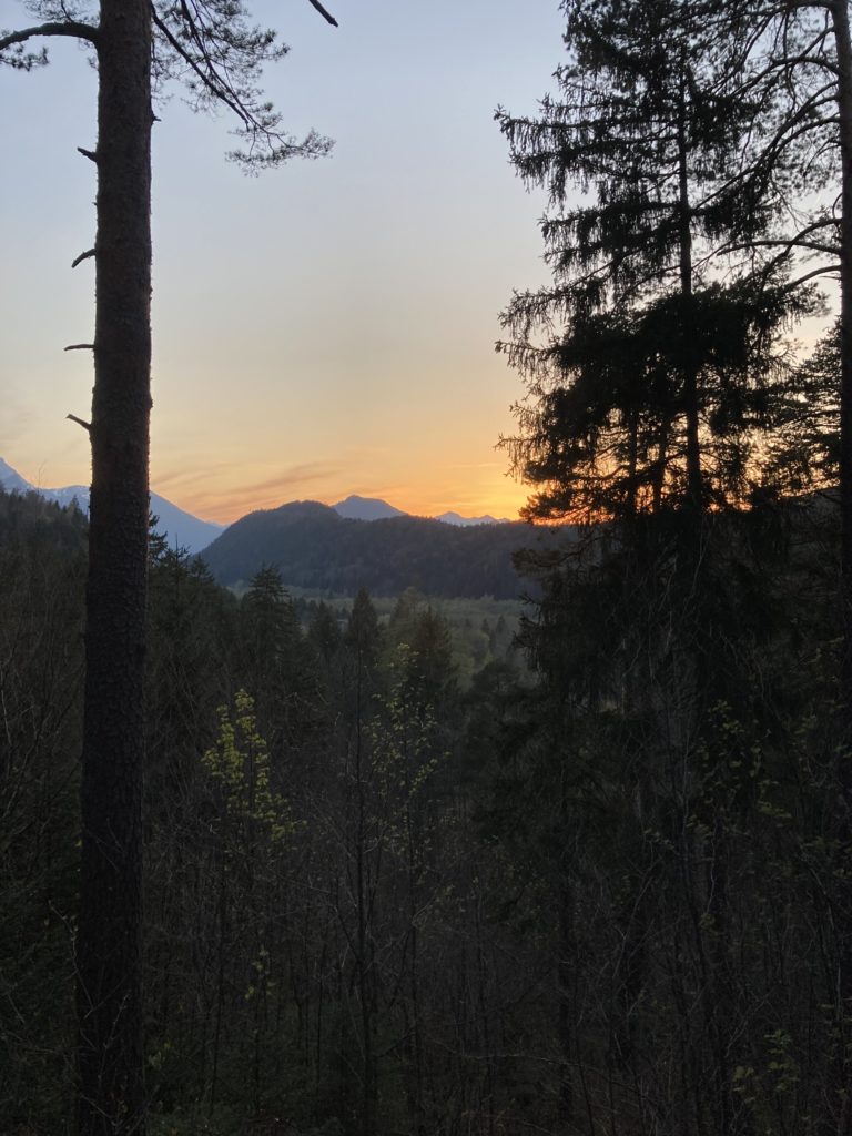 Links, Hilkea im Wald in Füssen, rechts Sonnenuntergang in Füssen