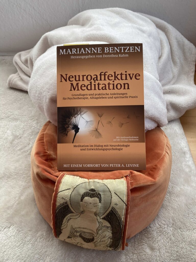 Buchabbildung auf Kissen Meditation und Stimme