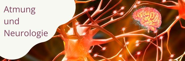 Sängerische Atmung und Neurologie. Synapsen und ein Großhirn in orange